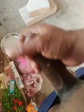 Bengali_BULL1 webcam
