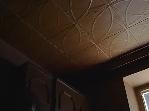 1973teacher live cam