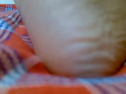 Swt_vixen