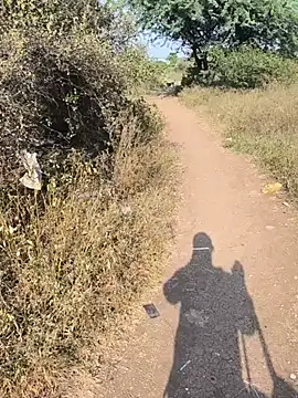 Pune_guy_cillab