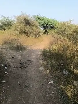 Pune_guy_cillab