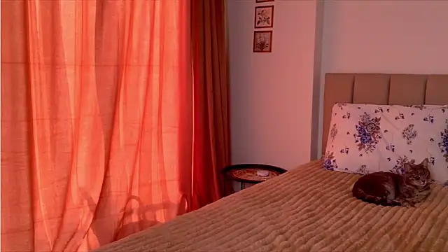 mason_silver webcam