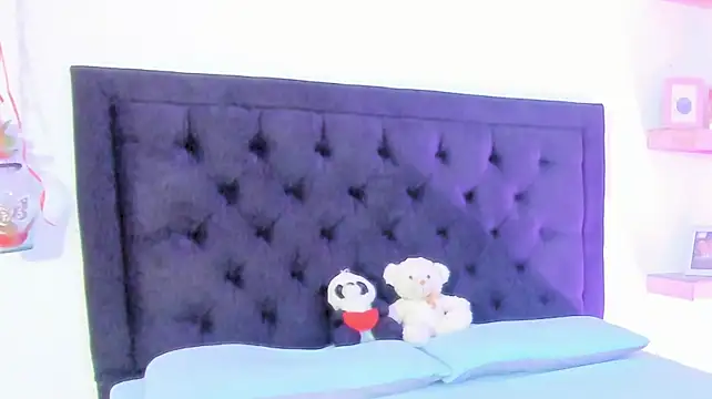 camilo_model