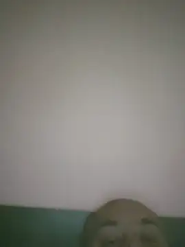 Davidsex66666
