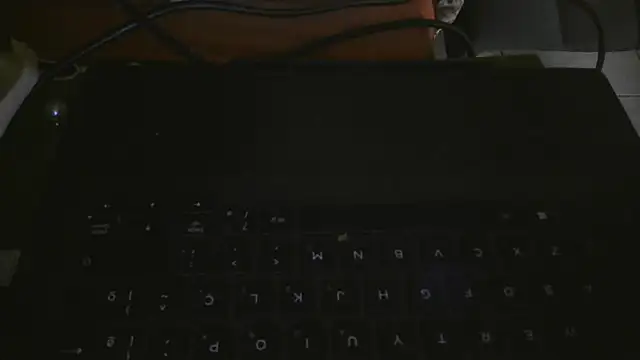 bialoba7