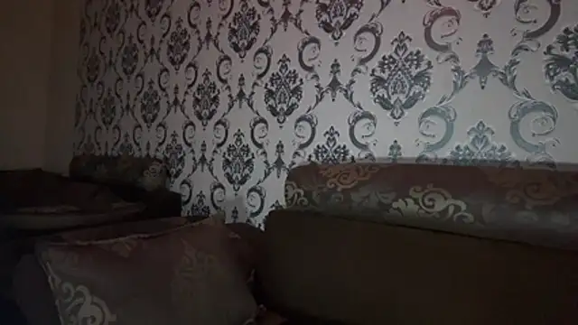 EmmyHone webcam
