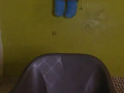 Stubborndesiboy
