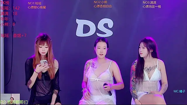 Ds-gee webcam
