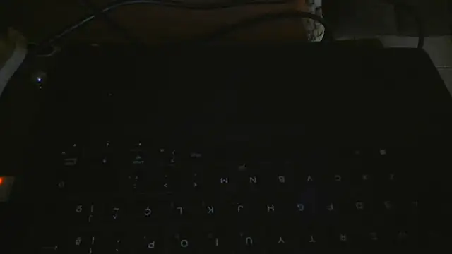 bialoba7