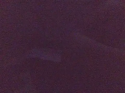 Savage_SurXperience