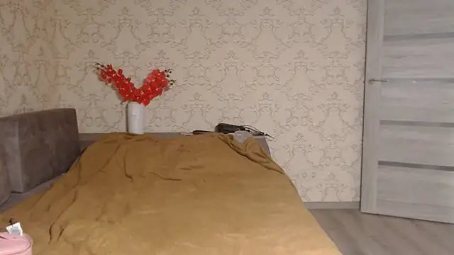 DolphinDreams