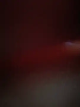 Lusty_trailer