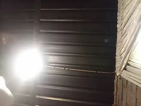 WiseDi live cam on StripChat