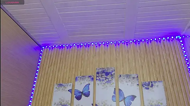 Moonceleste webcam