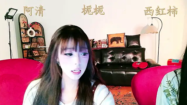 1-zhidan