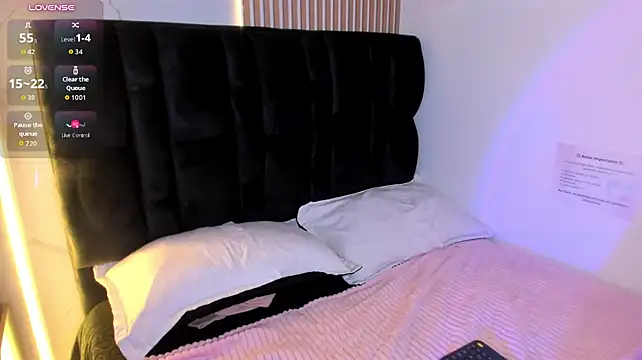 paulys_ webcam