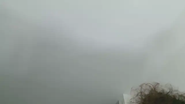 grey___27 live cam on StripChat
