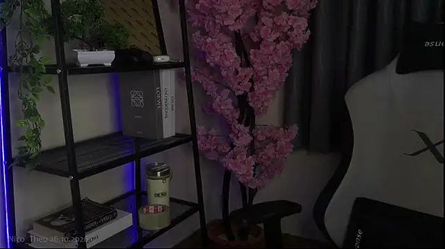 Nico_Theo webcam