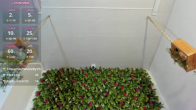 Lux_Royse webcam