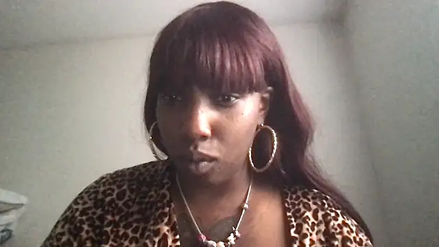 GaPeach live webcam
