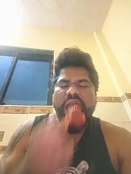 bigdog_ds
