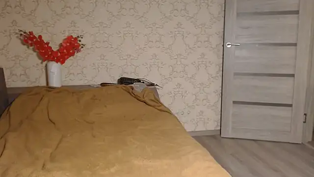 DolphinDreams