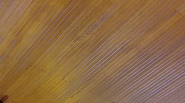 Juliana_Riderr