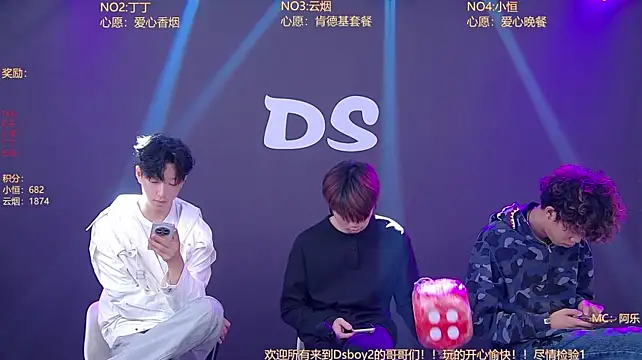 Ds-boy2