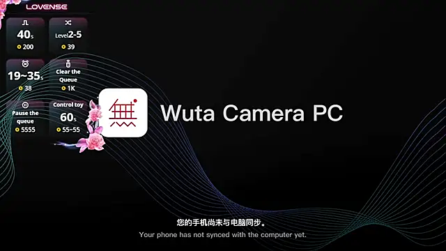 520Muzi_ webcam