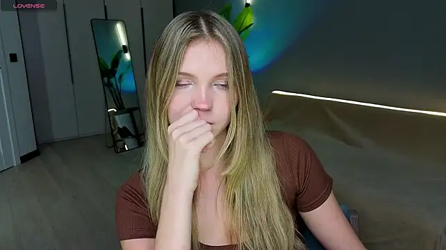 linakorvin webcam