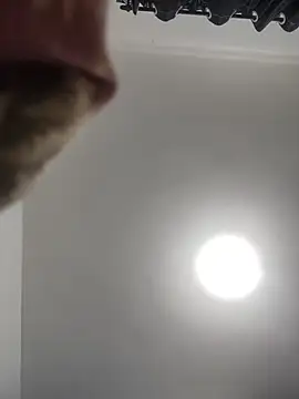 Willdpo live cam on StripChat