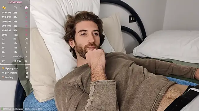 Hiddengaze live webcam