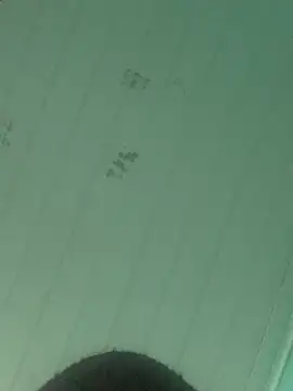 VHgato