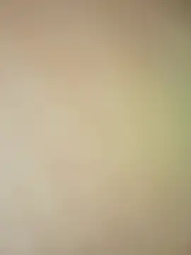 SiaLater webcam