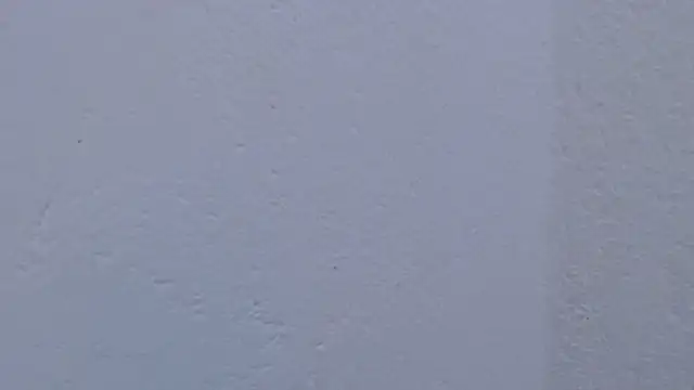 carolina_zabala_19