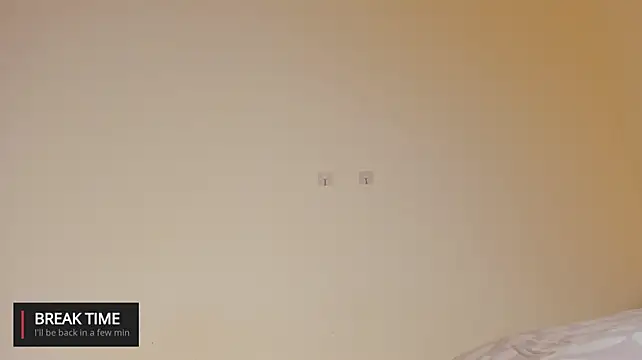 laguber webcam