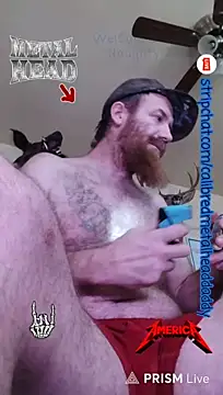 CaliBredMetalHeadDaddy
