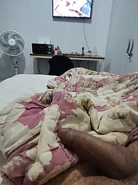 Willdpo live cam on StripChat