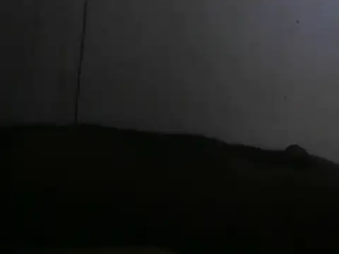 prikev38452 (Ask my age) - Tip 20 if you want to see my dick