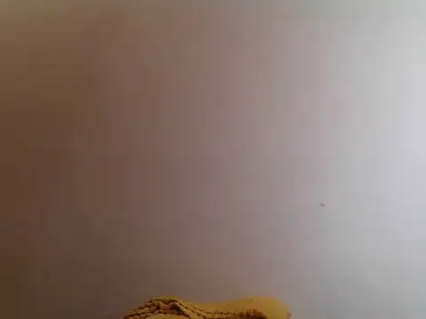 twerky_rose