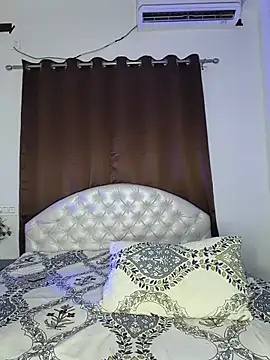 Bold-Cat