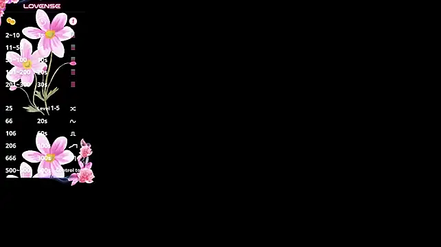 -DIVORA-