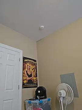 AmethystFoxx