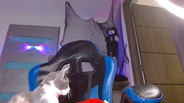 SexyBoy-Bigclit