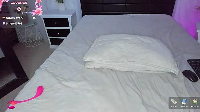 dstevora webcam