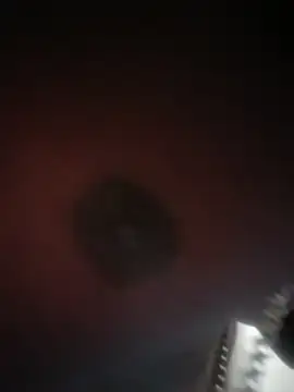 Kyngbigdick live cam on StripChat