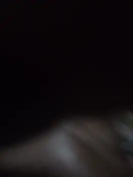 WiseDi