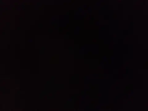 EdelHolz91