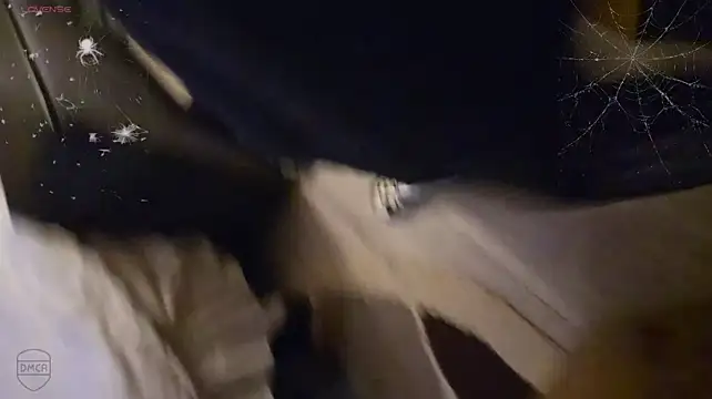 Vuitton webcam