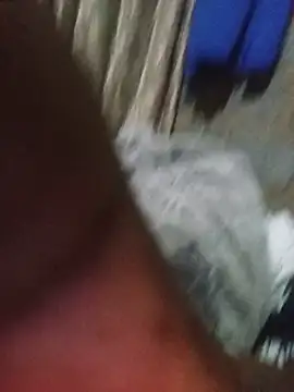WiseDi